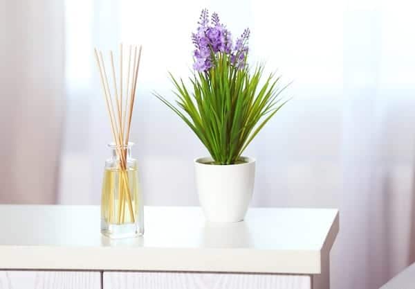 reed oil diffuser beside pot plant on white wooden bench