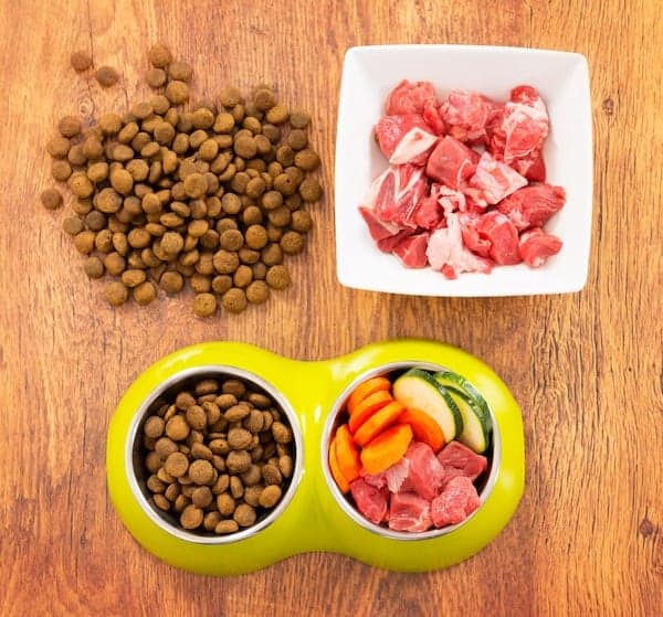 Dry dog food in a bowl beside raw dog food and vegetables
