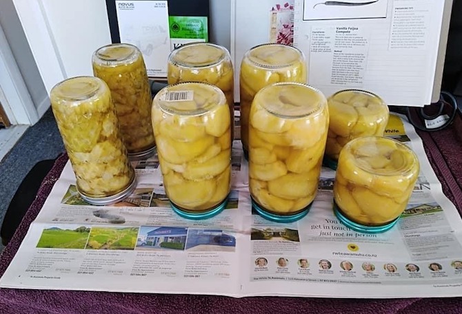 preserved feijoas in mason jars on newspaper
