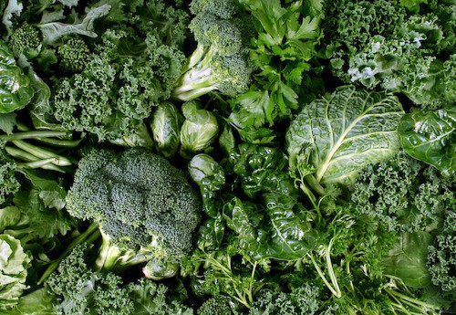 Green vegetables and dark leafy food background as a healthy eating concept of fresh garden produce organically grown as a symbol of health as kale swiss chard spinach collards broccoli and cabbage.