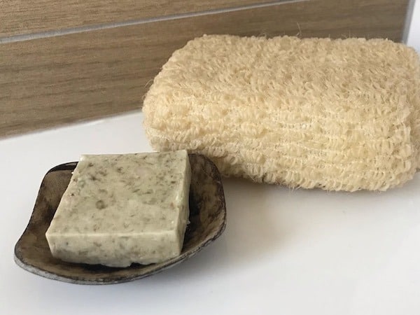soap bar in small dish and luffa